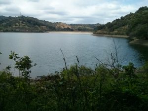 IMG_20160508_151131